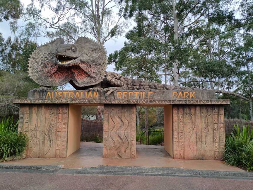 Australian Reptile Park, Somersby, NSW