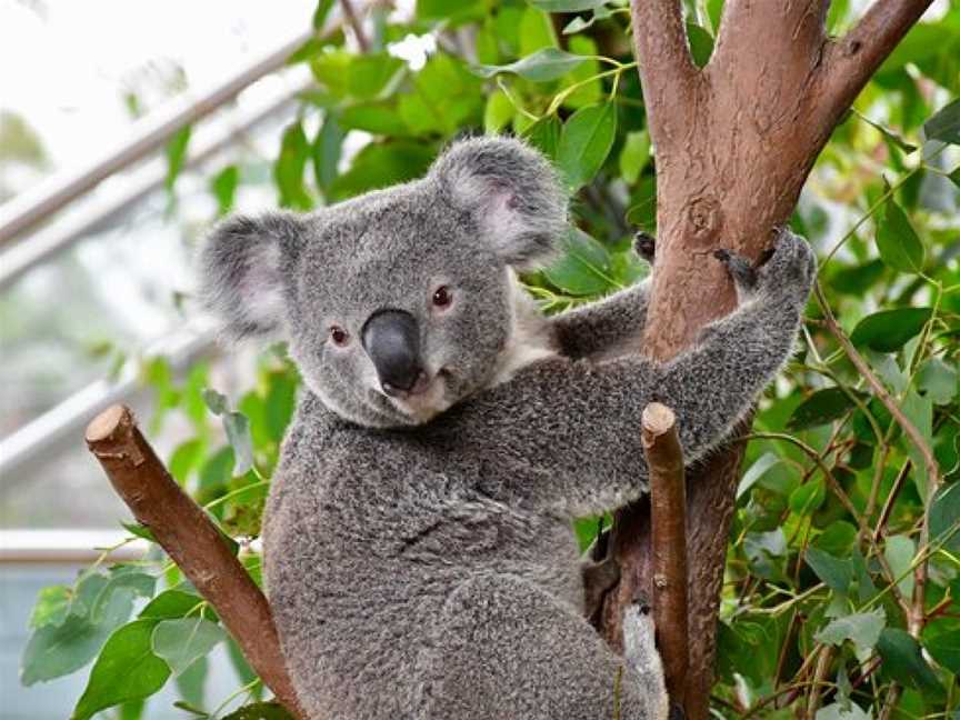 WILD LIFE Sydney Zoo, Sydney, NSW