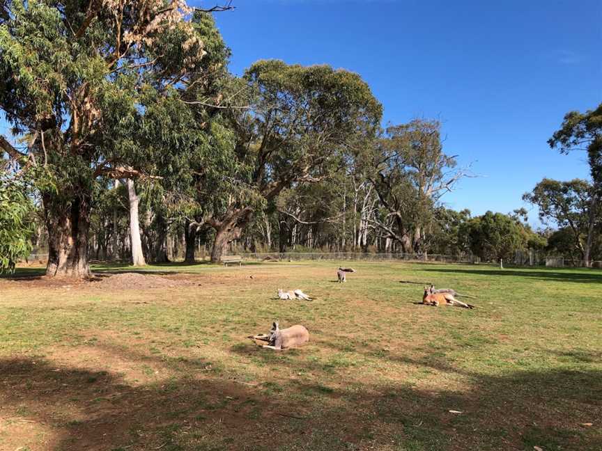 Cleland Conservation Park, Cleland, SA