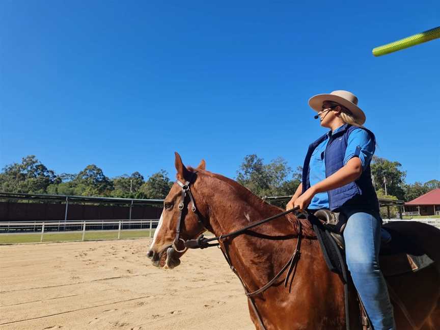 Paradise Country, Oxenford, QLD