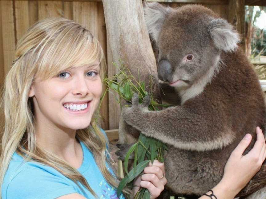 Maru Koala and Animal Park, Grantville, VIC