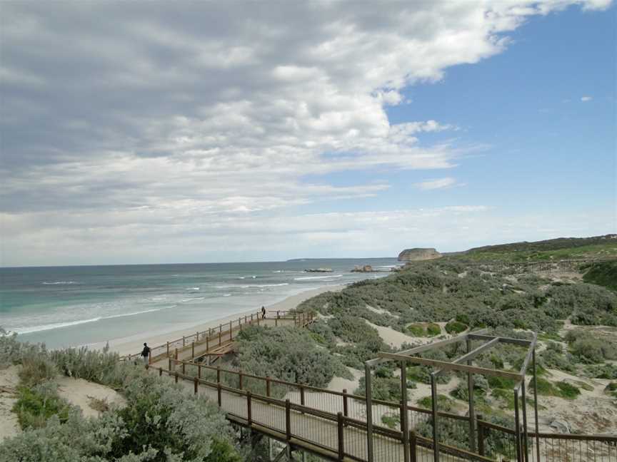 Seal Bay Conservation Park, Seal Bay, SA