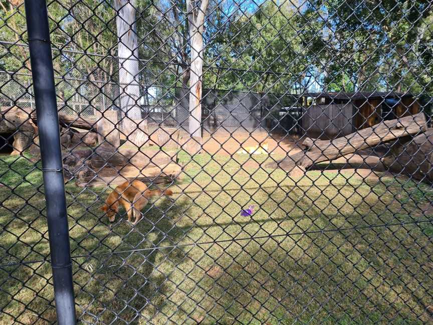 Ipswich Nature Centre, Ipswich, QLD