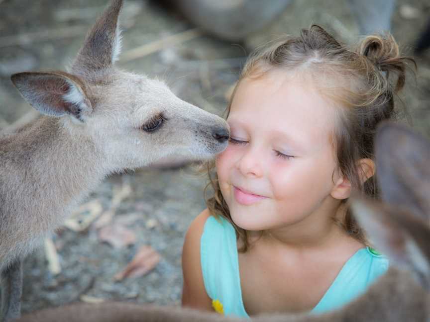 Wildlife Habitat, Port Douglas, QLD