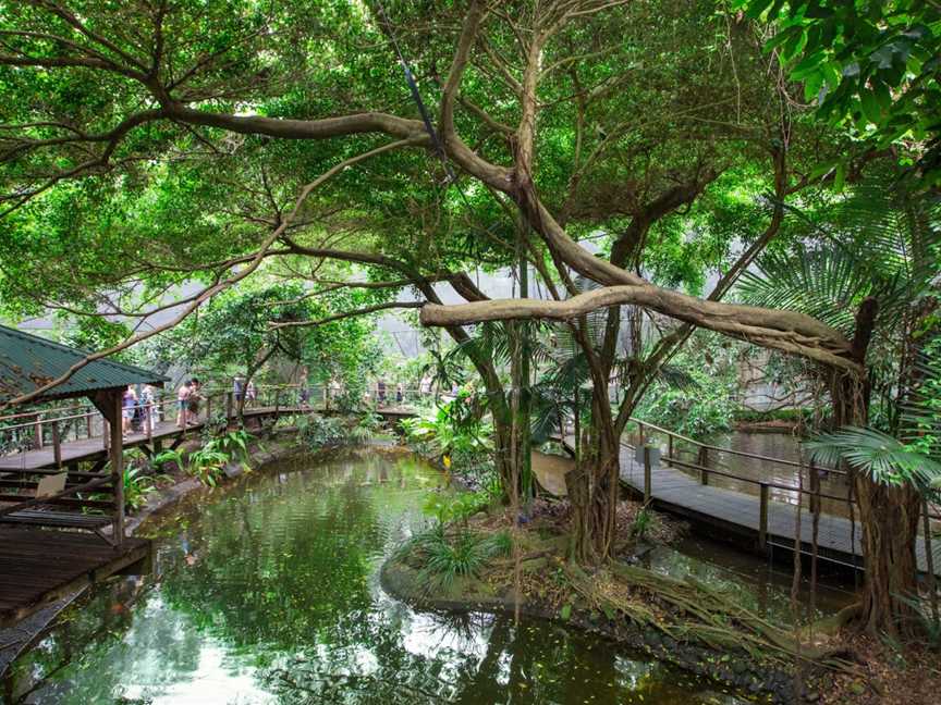 Wildlife Habitat, Port Douglas, QLD