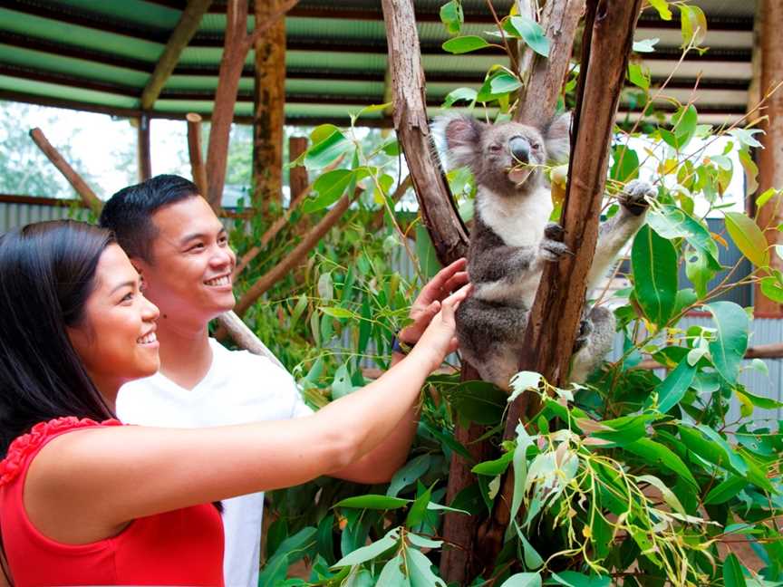 Oakvale Wildlife Park, Salt Ash, NSW