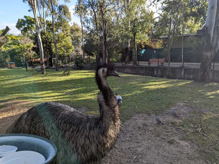 Rockhampton Zoo, West Rockhampton, QLD