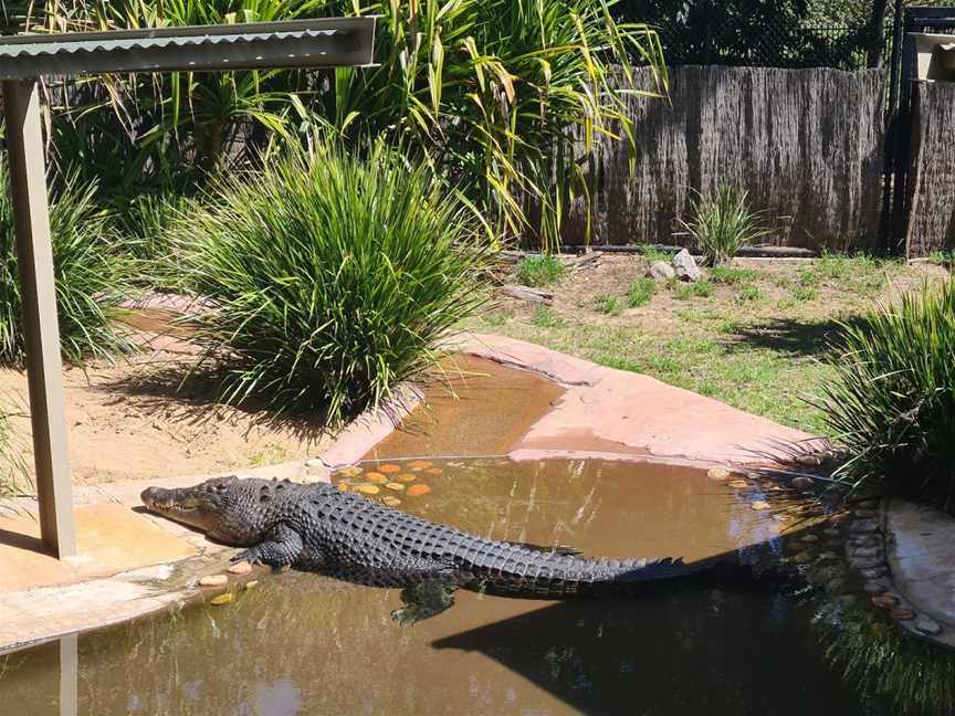 Rockhampton Zoo, West Rockhampton, QLD