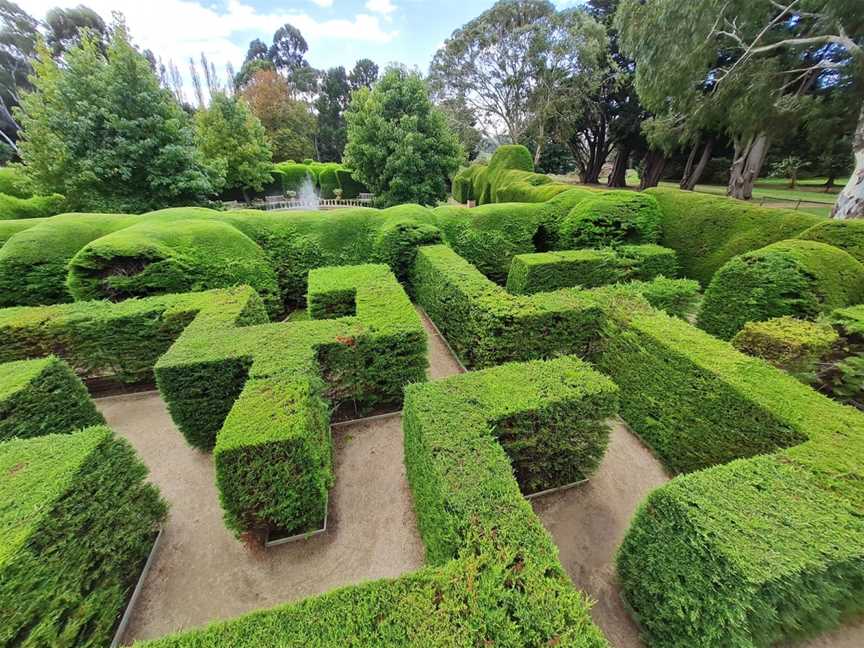 Ashcombe Maze & Lavender Gardens, Shoreham, VIC