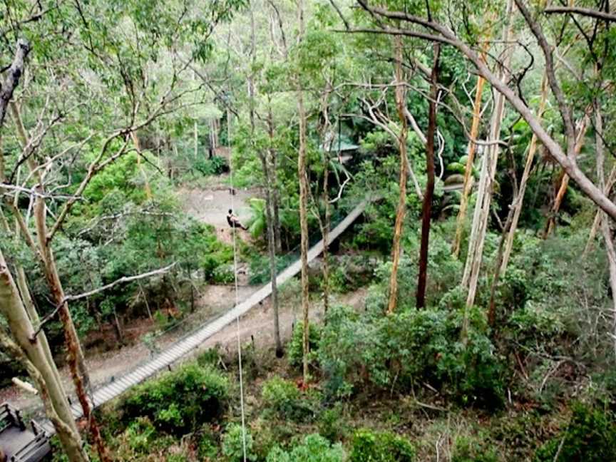 TreeTop Challenge Gold Coast - Australia's Largest Adventure Park, Tamborine Mountain, qld