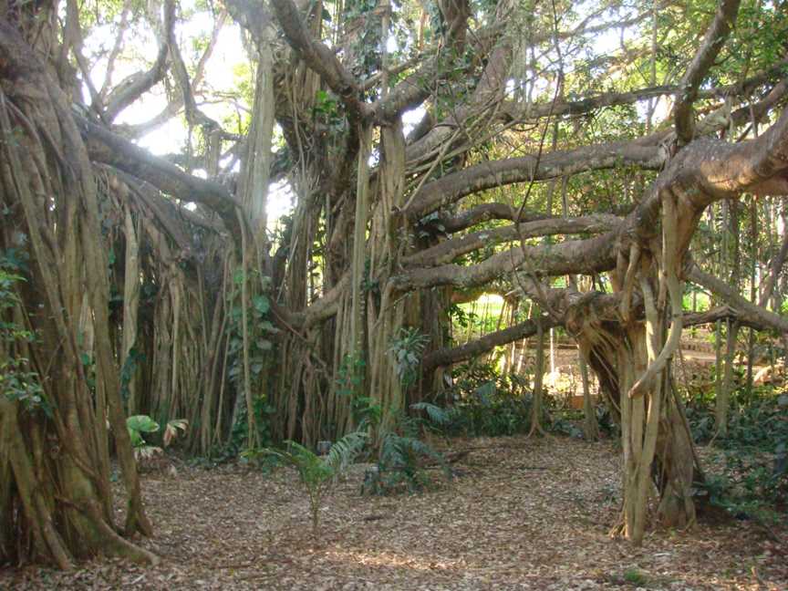 Rockhampton Botanic Gardens, Rockhampton, QLD