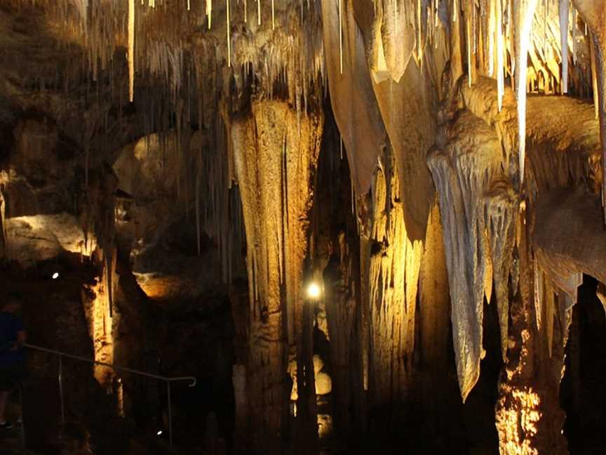 Tantanoola Caves Conservation Park, Tantanoola, SA