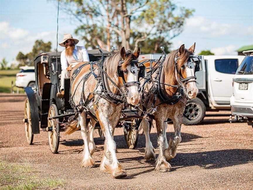 Hunter Valley Horses / @ the farm / HVH FARMS, Pokolbin, nsw