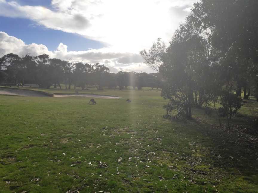 Anglesea Mini Golf, Anglesea, VIC