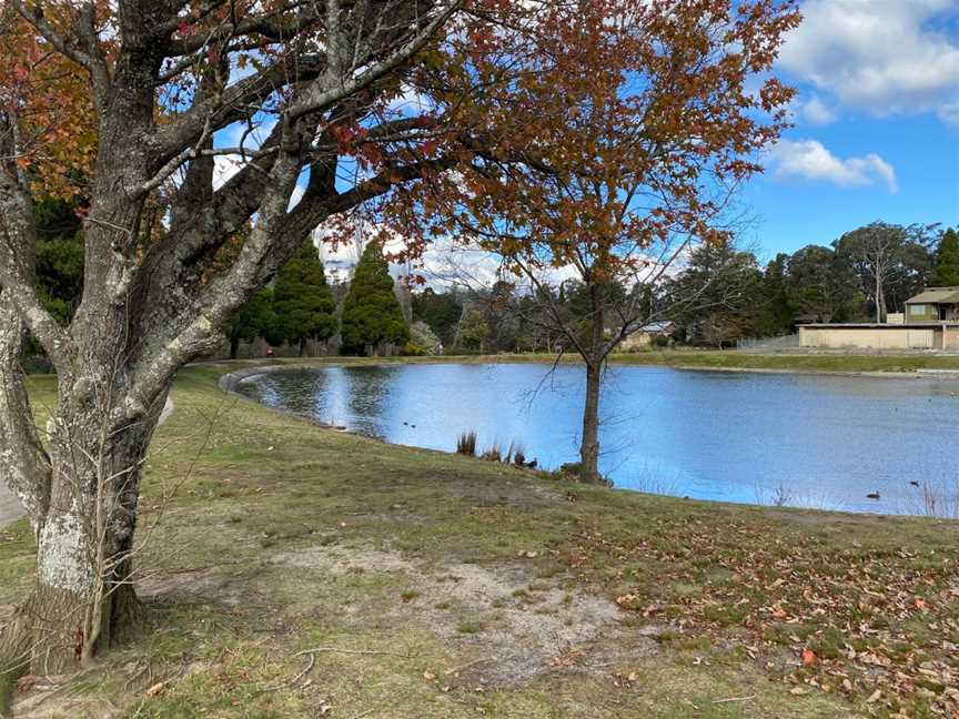 Catalina Park, Katoomba, NSW