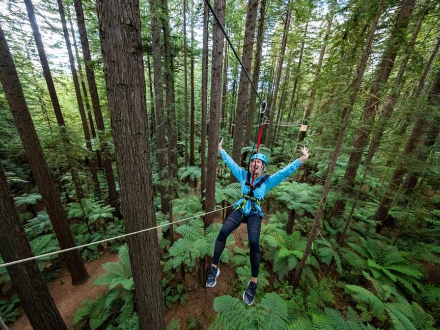 Redwoods Treewalk, Whakarewarewa, New Zealand