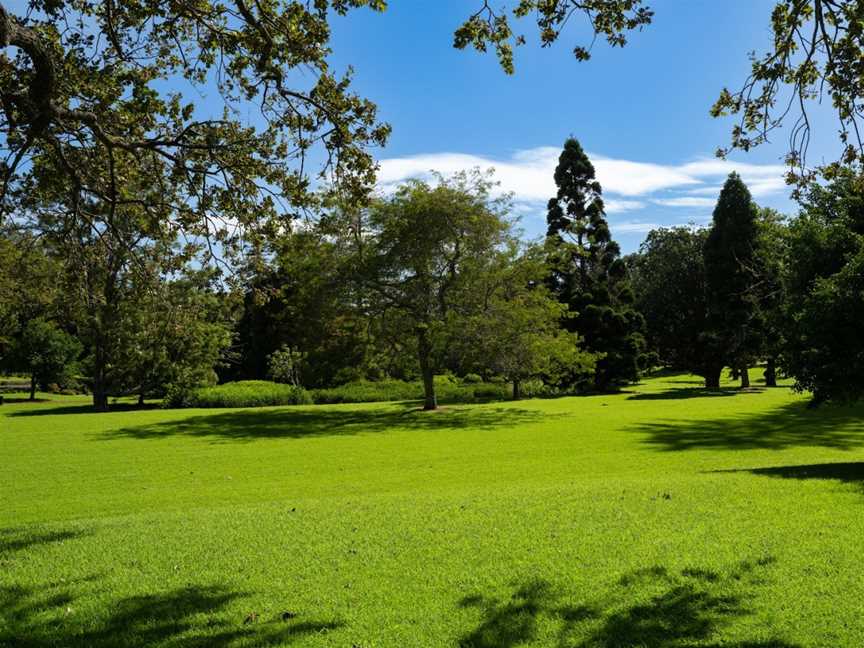 Auckland Domain, Grafton, New Zealand