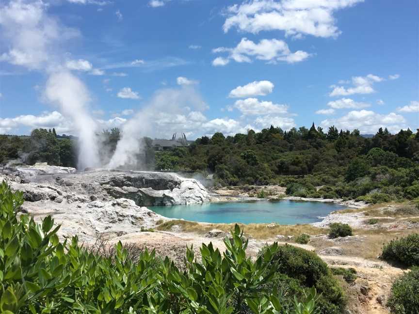 Geothermal Valley Te Puia, Rotorua, New Zealand