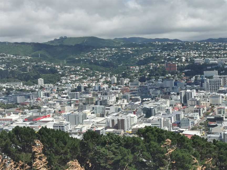 Mount Victoria Lookout, Hataitai, New Zealand