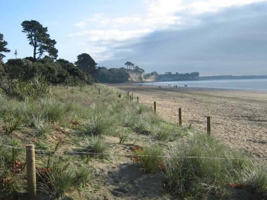 Long Bay Regional Park, Long Bay, New Zealand