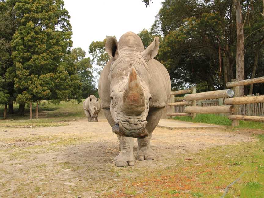 Orana Wildlife Park, Harewood, New Zealand