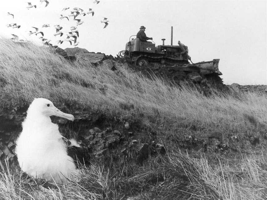 Royal Albatross Centre, Harington Point, New Zealand