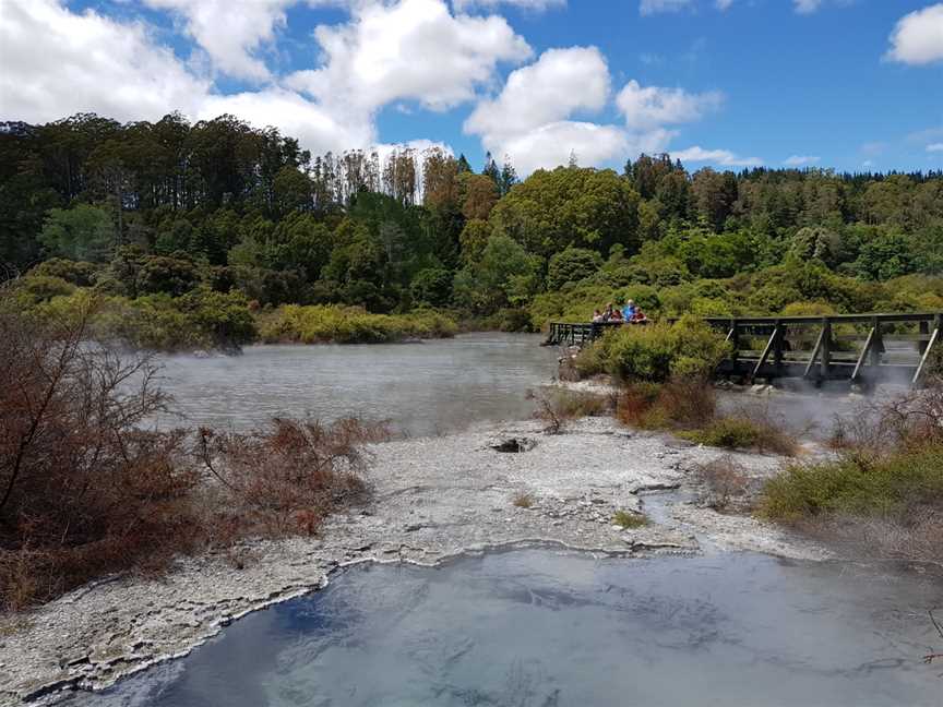 Whaka Geothermal Trails, Whakarewarewa, New Zealand