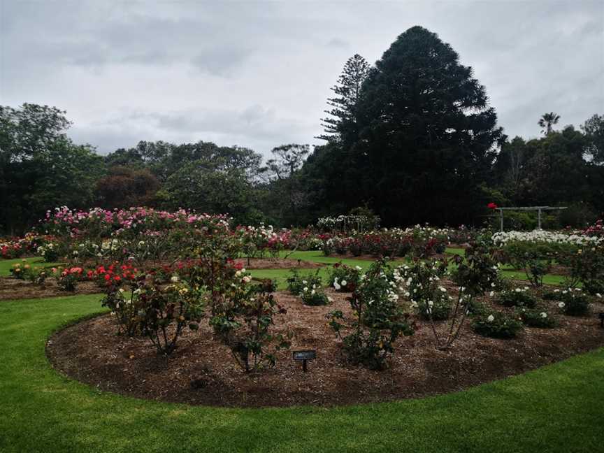 Dove Myer Robinson Park (Parnell Rose Garden), Parnell, New Zealand