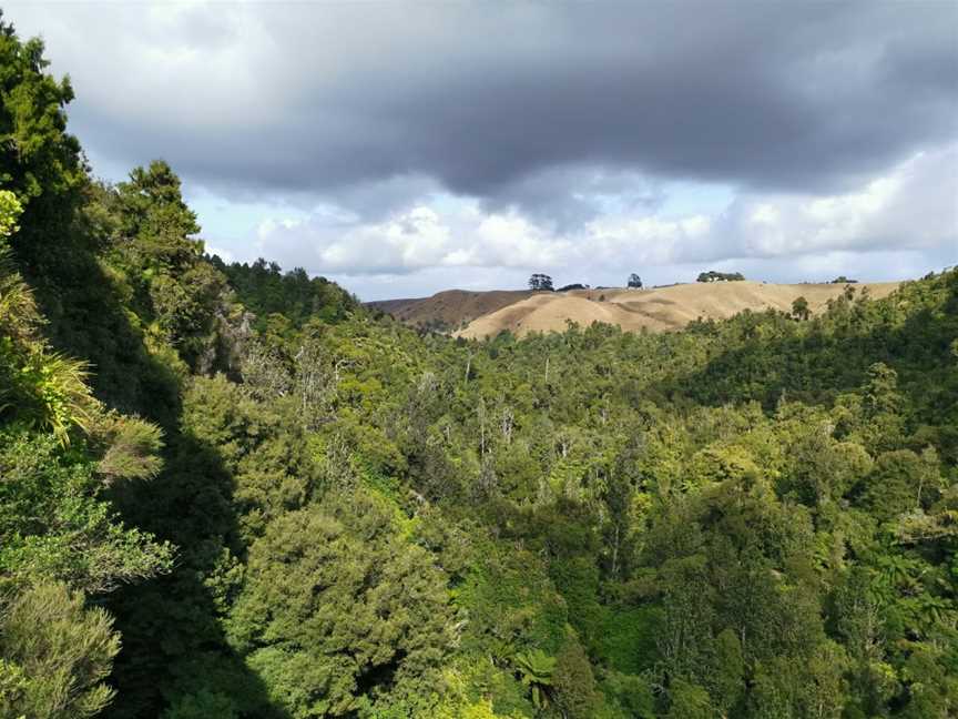 Bridal Veil Falls, Waikato West Coast, New Zealand