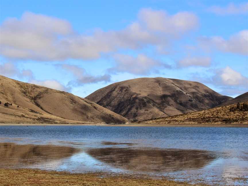 Castle Hill Conservation Area, Castle Hill, New Zealand