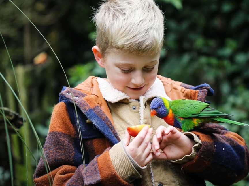 Staglands Wildlife Reserve & Café, Upper Hutt, New Zealand