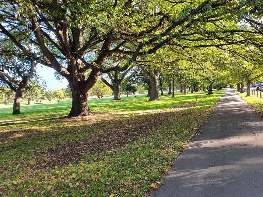 South Hagley Park, Christchurch, New Zealand