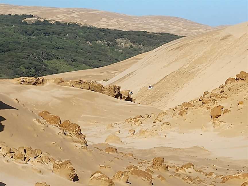 Giant Sand Dunes, Kaitaia, New Zealand