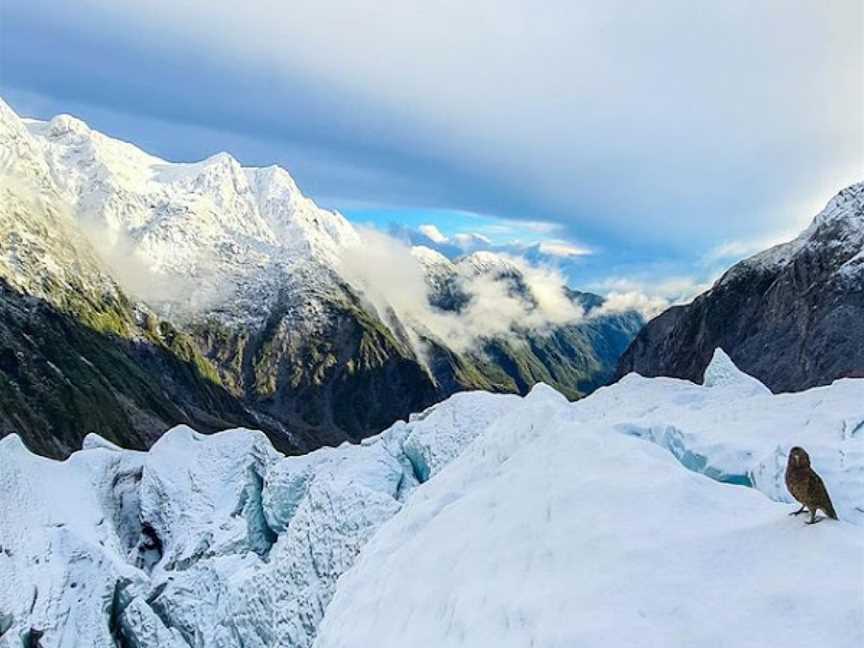 Franz Josef Glacier Guides, Waiau, New Zealand