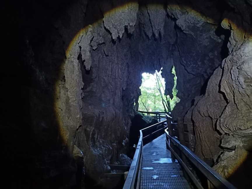 Waiomio Glowworm Caves, Bay of Islands, New Zealand