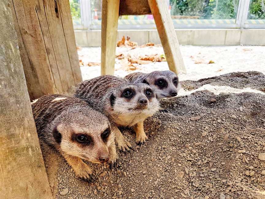 Natureland Wildlife Trust, Nelson, New Zealand