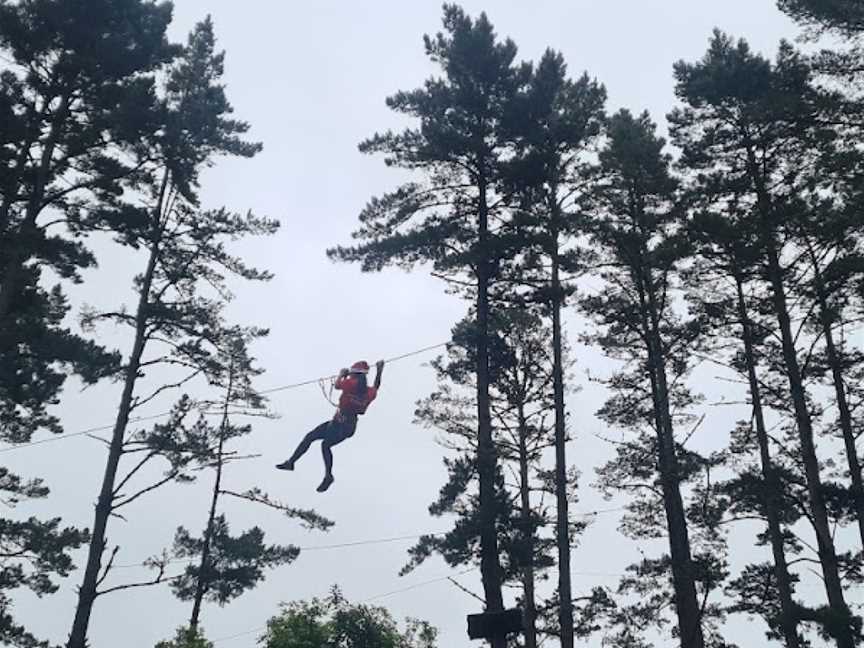 Adrenalin Forest Wellington, Aotea, New Zealand