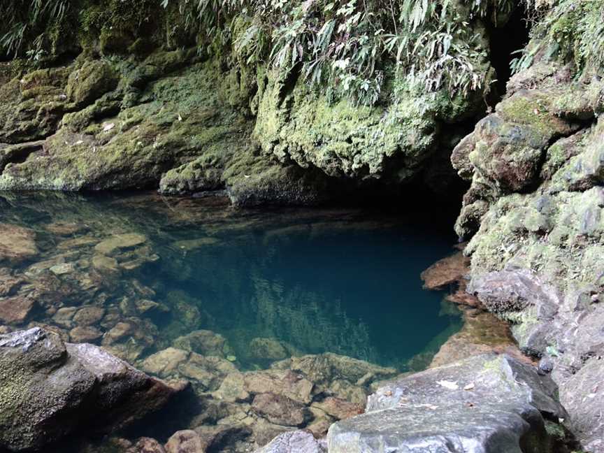 The Riuwaka Resurgence, Riwaka, New Zealand