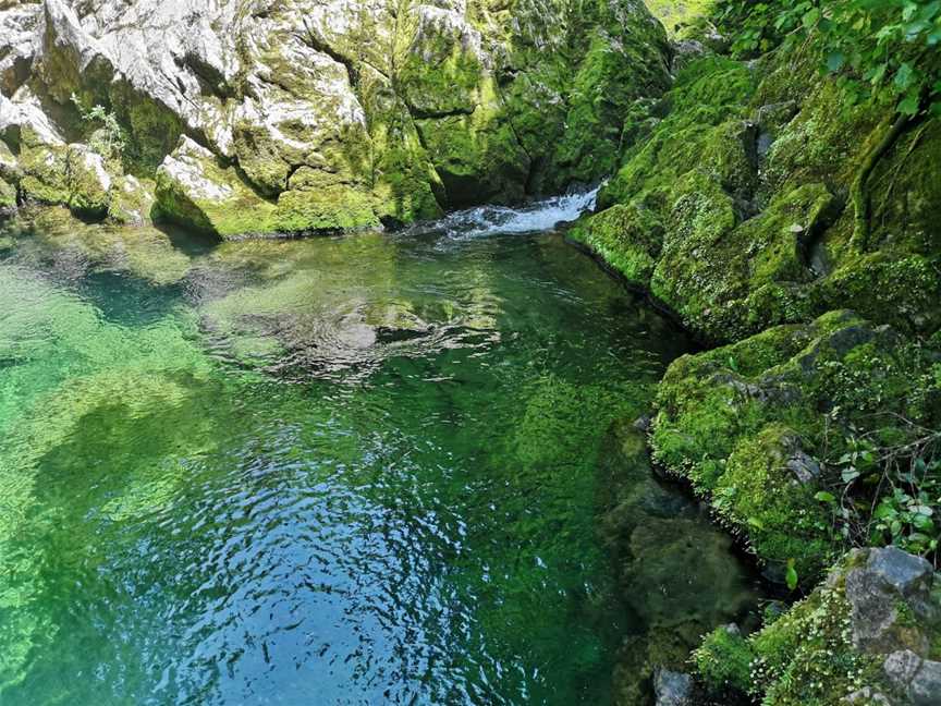 The Riuwaka Resurgence, Riwaka, New Zealand