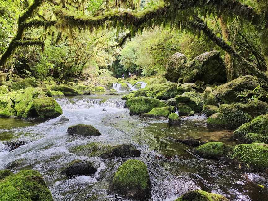 The Riuwaka Resurgence, Riwaka, New Zealand