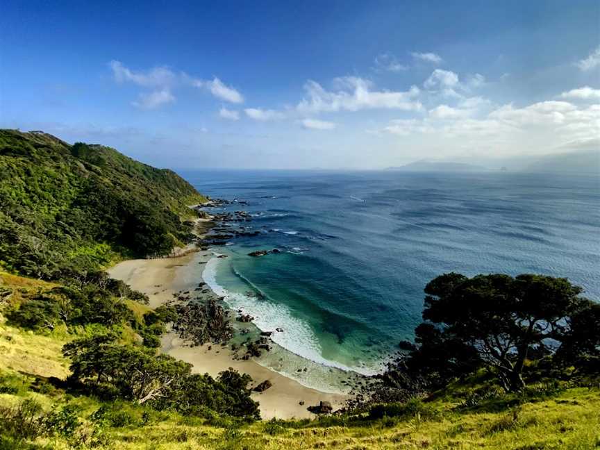 Mangawhai Cliff Walk, Mangawhai Heads, New Zealand