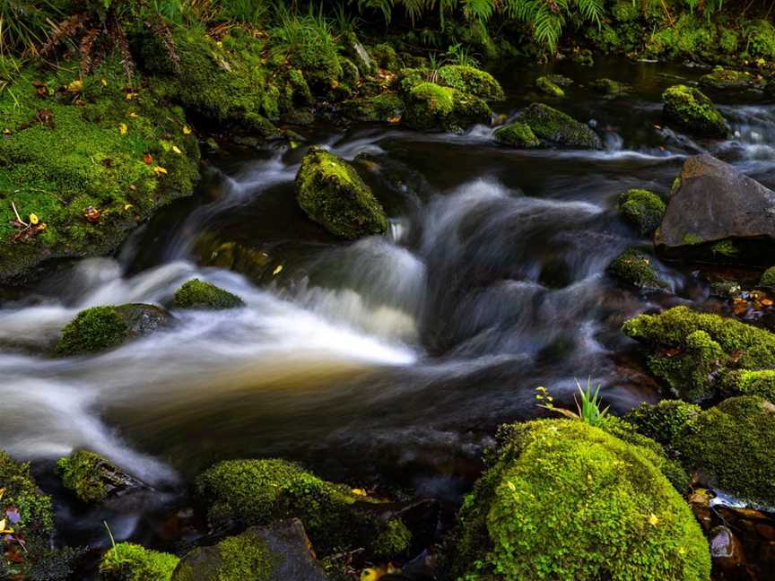 McLean Falls, Owaka, New Zealand