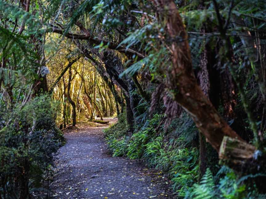 McLean Falls, Owaka, New Zealand