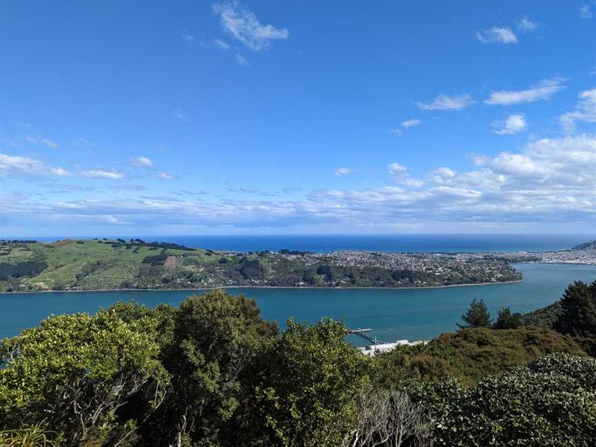 Flagstaff Lookout, Dunedin, New Zealand