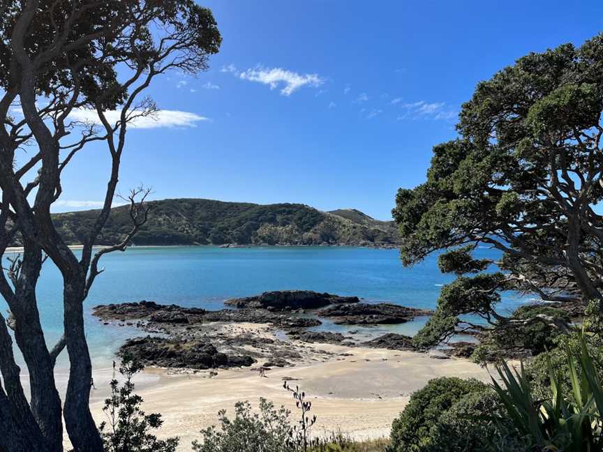 Maitai Bay, Karikari Peninsula, New Zealand