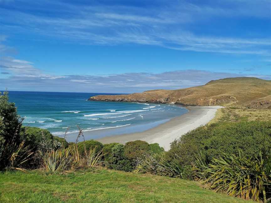 Penguin Place, Harington Point, New Zealand