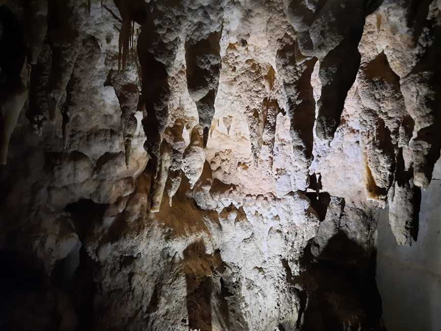 Waitomo Caves, Te Awamutu, New Zealand