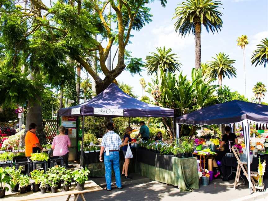 Napier Urban Farmer's Market, Napier South, New Zealand