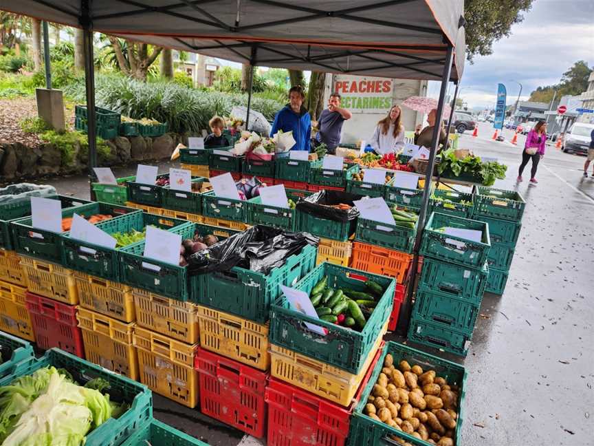 Napier Urban Farmer's Market, Napier South, New Zealand