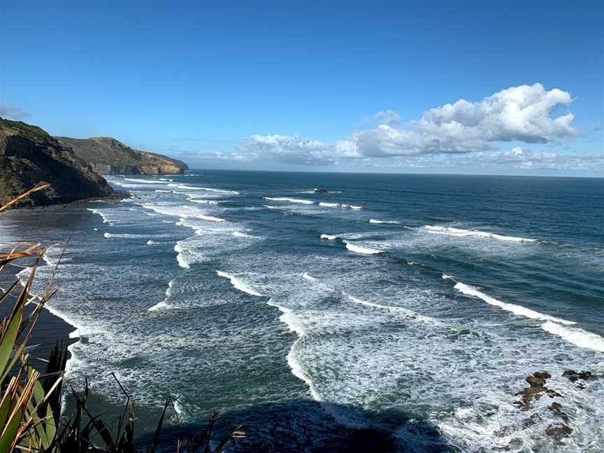 Muriwai Gannet Colony Lookout, Muriwai, New Zealand